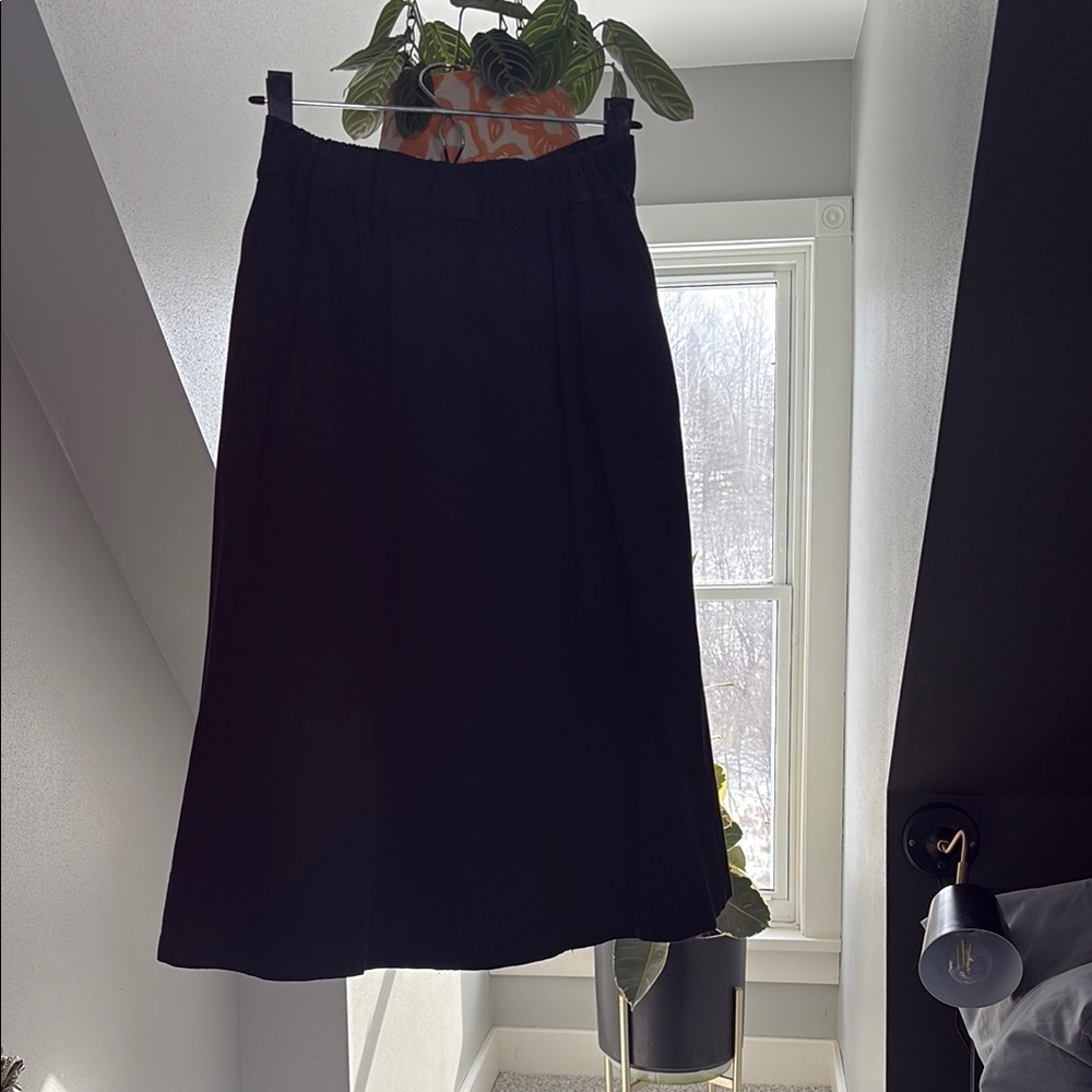Everlane Black Midi A-Line Skirt